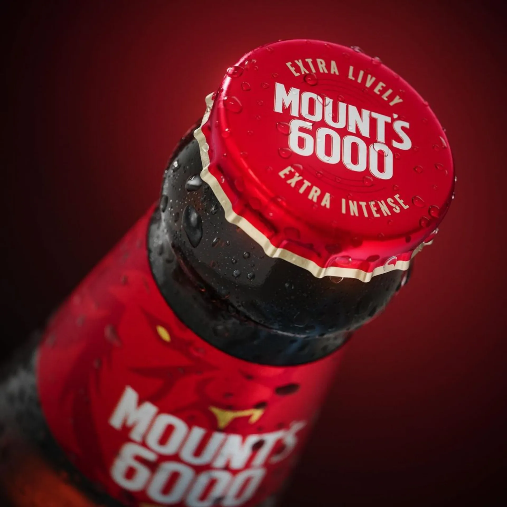 Mount 6000